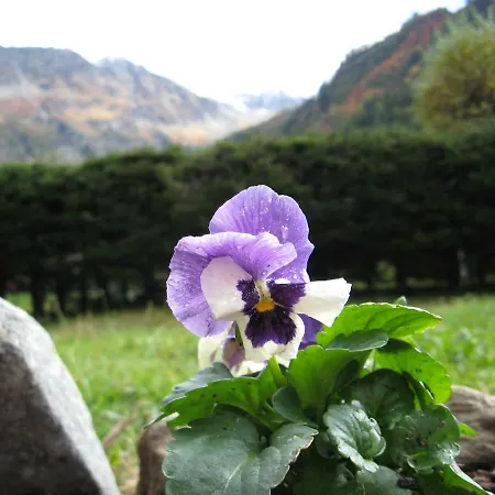 Pyrene Mont-blanc Chamonix