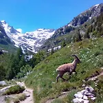 Pyrene Mont-blanc *